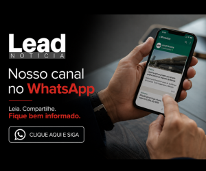 lead 5 300x250