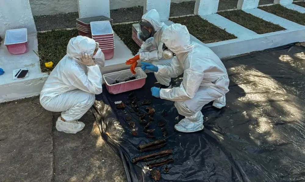 Equipe de Identificação de Mortos e Desaparecidos Políticos (CEMDP)