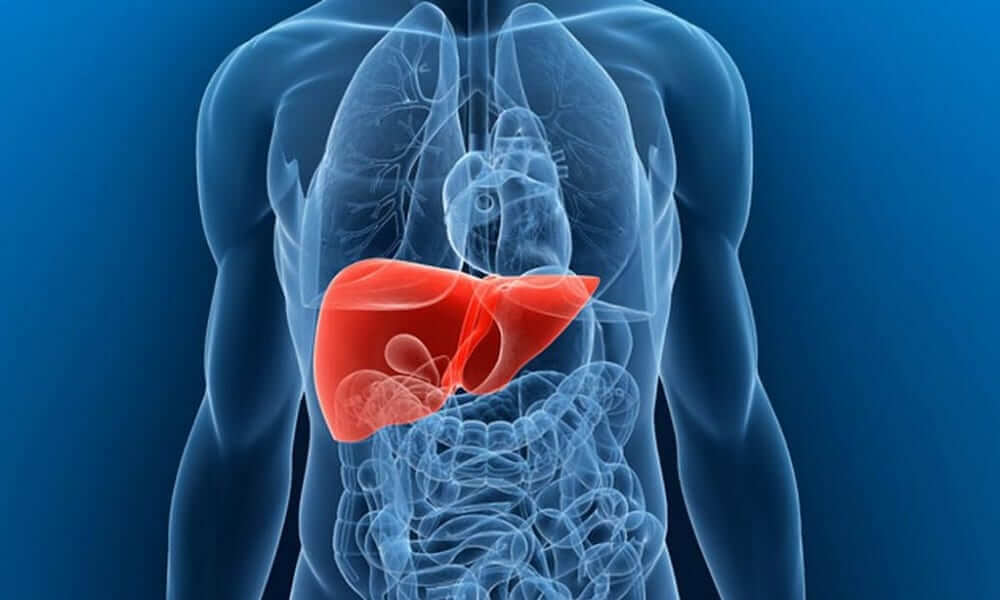 Brasil participa de pesquisa inédita que busca a cura da hepatite B