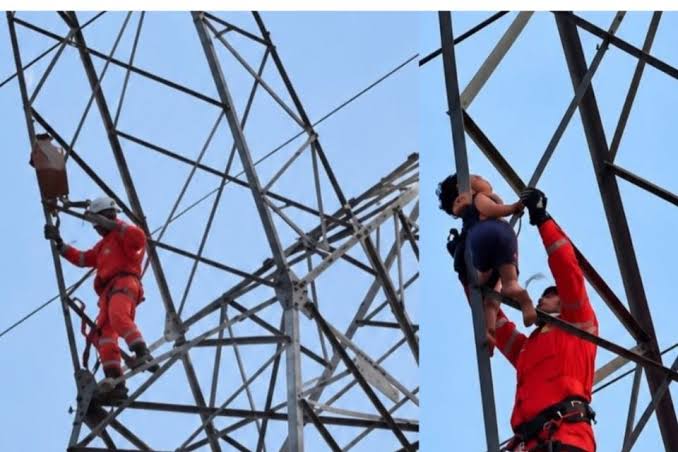 Criança de 5 anos é resgatada após escalar torre de energia