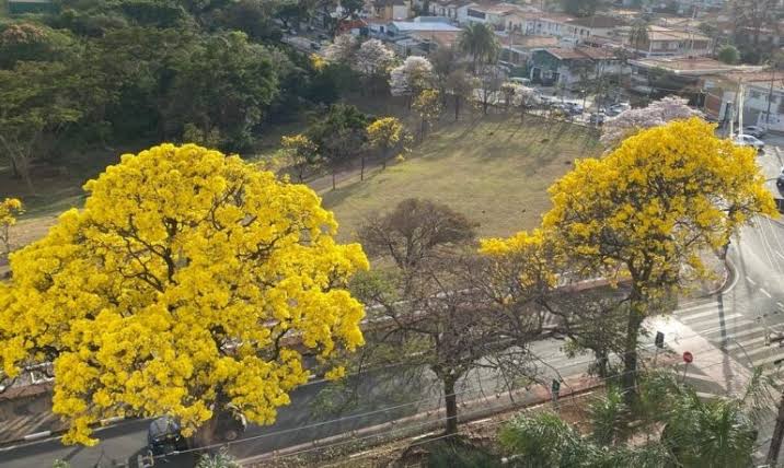 Primavera começa com calor, frente fria e previsão de temporais